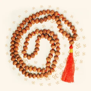 6 Mukhi Japa Rudraksha Mala