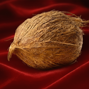 Ekakshi Nariyal(Siddh)