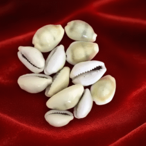 Pili Kodi(Siddh)(21 Pcs)