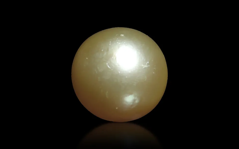 South Sea Pearl - 11.51 Carats